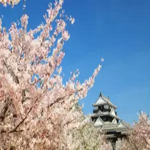 부산출발 마츠야마 에어텔 3일 #히요리호텔 #오카이도 #무료송영