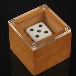 마술 주사위 소품 트릭 무대 성인용 환상 점수