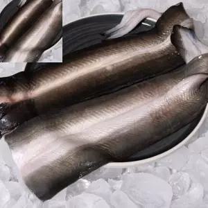 국내산 자포니카 민물장어 선물세트 1kg 구이용 식재료 손질포장