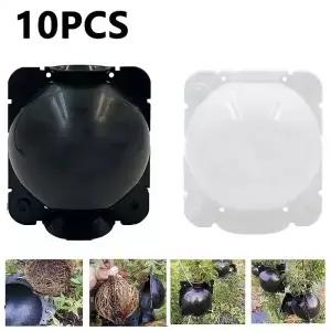 10Pcs 재사용 가능한 식물 뿌리 공 상자 성장 절단 접목 냄비