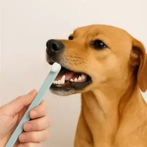 ( )반려동물 초미세 만모칫솔 그린 고양이초미세모 강아지칫솔 소형견칫솔