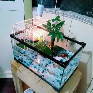 거북이 산란장 놀이터 태블릿 조절 터틀 베란다 가능한 소형 트럼펫 30X18X18 오버사 트럼펫 베란다
