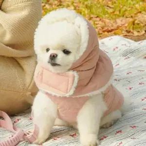 애견귀돌이 강아지 패딩 귀돌이 모자 핑크 겨울 산책 누빔 1세트