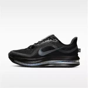 Nike 나이키 페가수스 프리미엄 여성 로드 러닝화 HQ2593-004