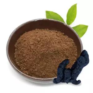 국내산 숙지황 분말 100g / 숙지황차 가루