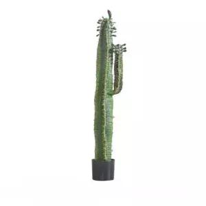 모형 카페 식물 90CM 바닥뷰 원형 60CM양손 촬영 모조 사이즈 40CM 밴드 선인주 사내 40CM 밴드