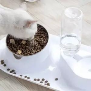 [셀러에이드]D 고양이 강아지 급수기 급식기 물그릇 세라믹 높이조절 밥그릇