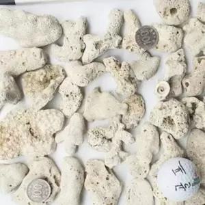 D 어항돌 뼈다귀 산호사 조경돌 10kg