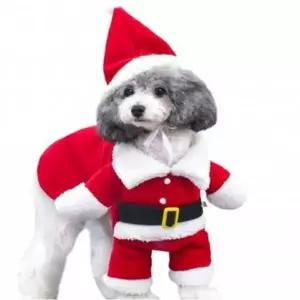D 애견 애묘 겨울 옷 망토 모자 강아지 냥이