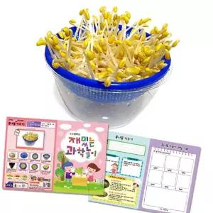 큰 그릇 콩나물 키우기 재배 키우기세트 집에서키우기 기르기 키우기키트콩나물키우기 재배기 에서키우기
