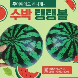 비치볼 수박 탱탱볼 KC인증 수박공 비취볼 공