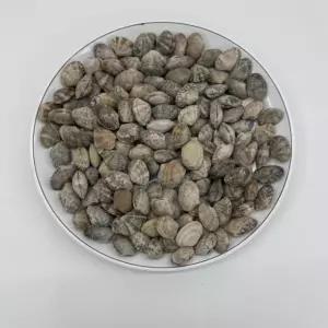 냉동 바지락 피바지락 급냉 세척 1kg~5kg