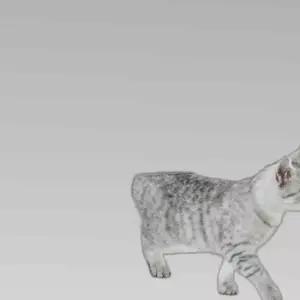 고양이 이글루 지붕 화장실 대형 양방통행 1P 밀폐형