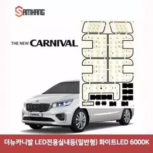 더뉴카니발 DBQ204A6 LED전용실내등(일반형) (화이트 6000K)