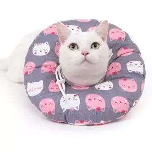 [반려] 반려 동물 냥이 고양이 핥지 방지 넥 카라 목 쿠션 강아지넥카라