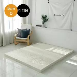 워너텍스 워너텍스 천연라텍스 매트리스 5cm Q + 방수속커버