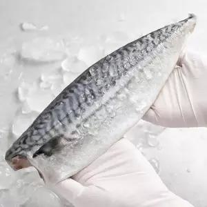 [삼촌식탁]노르웨이 고등어 대(160-190g) 