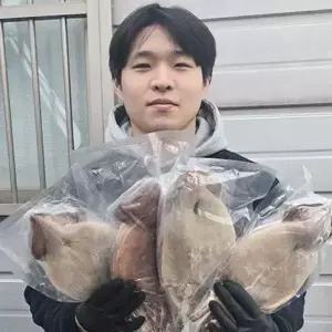  포항 구룡포 반 건조 오징어 건오징어 피데기 10마리 950g (원양산:대서양)