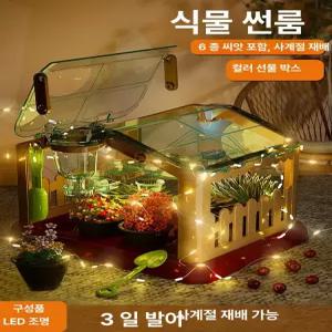 과학 실험 식물 성장 관찰 미니 텃밭 재배 상자 생일 선물