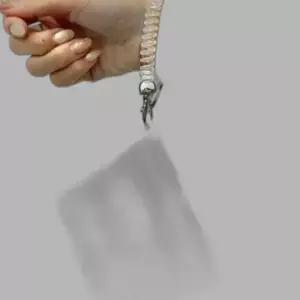 강아지 간식 가방 트릿백