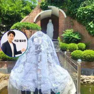 지금 필요한 미사보 화이트 장미패턴 레이스 카톨릭 카톨릭성물