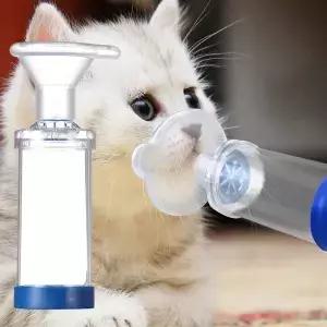 고양이 개 흡입기 개스킷 에어로졸 챔버 마스크 부착