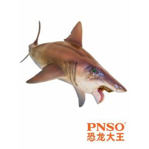 PNSO 헬리코프리온 헤일리 고대 21cm 원시상어 피규어 모형 선사 상어