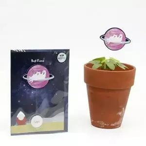 어린이 나팔꽃 씨앗 키우기 우주 새싹 키우기 세트 카드 식물 WFLW373