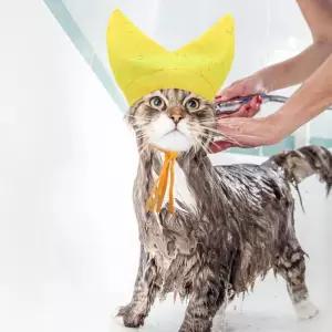 고양이 목욕 샤워 캡 강아지 방수 귀보호 목욕 모자