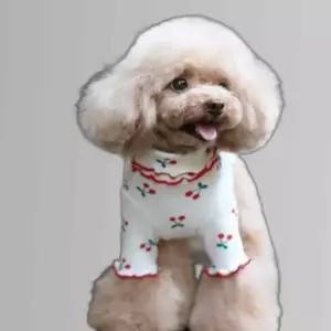 반려견 부드러운 데일리 실내 목폴라 스타일 터틀넥