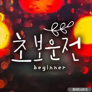 초보운전 스티커 초보자동차스티커 초보운전자석 차량 초보 운전