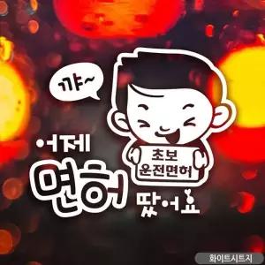 왕초보 어제면허땄어요 초보자동차스티커 차량스티커 초보운전