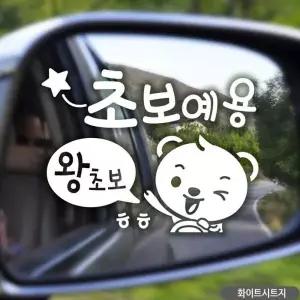 자동차스티커 초보 화이트시트지 왕초보 곰돌이 초보운전 차량용