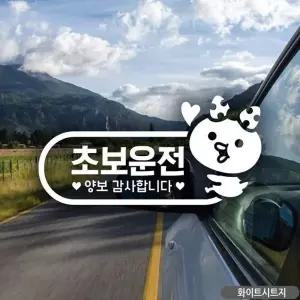 초보운전 자동차스티커 차량용스티커 차량 왕초보 캐릭터