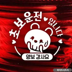 초보운전 스티커 차량용스티커 아기곰 초보 차량 양보 안전