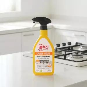 랩신 홈백신 세정제 주방용 600ml X2개 주방청소 세제 곰팡이 제거