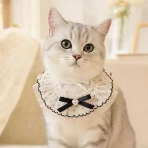 고양이 레이스 케이프 강아지 자수 스카프 반려동물 악세사리
