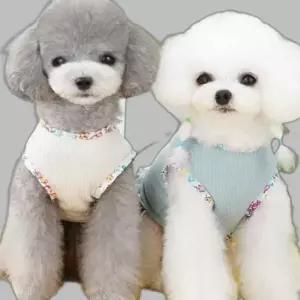 강아지 예쁜 화사한 부드러운 꽃 원피스 코디 골지