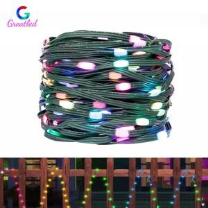 DC5V WS2812B LED 문자열 투명 녹색 검정색 와이어 주소 지정 가능 파티 웨딩 갈 랜드 장식 크리스마스 할