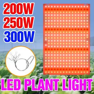 300W LED 식물등 풀 스펙트럼 파종 재배 패널 램프 온실 텐트 다육 선인장 꽃 조명 EU/US 플러그