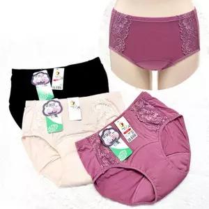 맥시 요실금 팬티 3매 L-4XL 빅사이즈 1매용언더웨어 여성