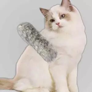 PET 고양이 오뎅꼬치 스틱 낚시대 장난감 막대