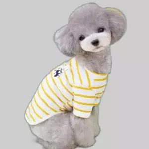 하트곰 스트라이프 반팔 티셔츠 강아지옷 BI-A100360