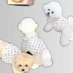 강아지원피스 벌룬원피스 귀여운디자인 애견원피스