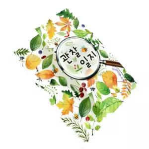 북아트 책만들기 플랩북 스티커꾸미기 포켓북 유아체험활동 관찰일지 자연탐구