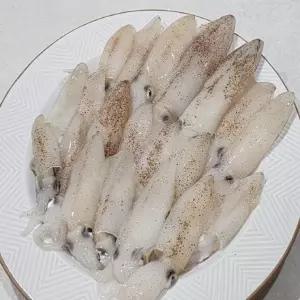 연안 생물 호래기 500g