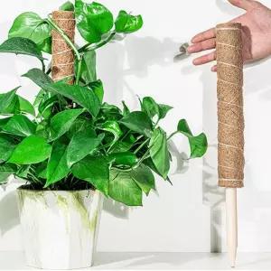식물 지주대 코코봉 45cm 작물지지대 수목 지지대 방울토마토 오이대 화분 꽃지 나무대 고정 농지