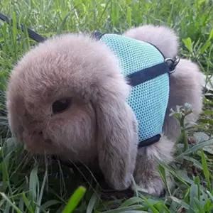 토끼 하네스 산책줄 리드 목줄 산책 가슴 작은애완동물 용품 토끼옷 외출 이탈방지 스트랩 소동물 가스 토