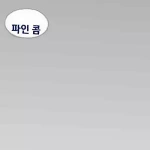 강아지빗 애견미용빗 반려동물빗 파인콤 M
