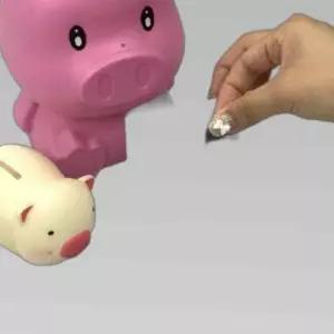 마리모 키우기 블럭 미니어항 투명